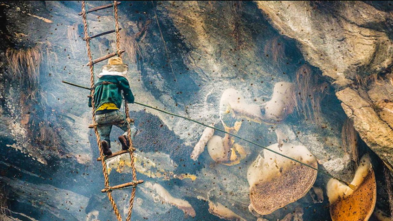 Madu 'Memabukkan' yang buat Penduduk Desa Berani Mati