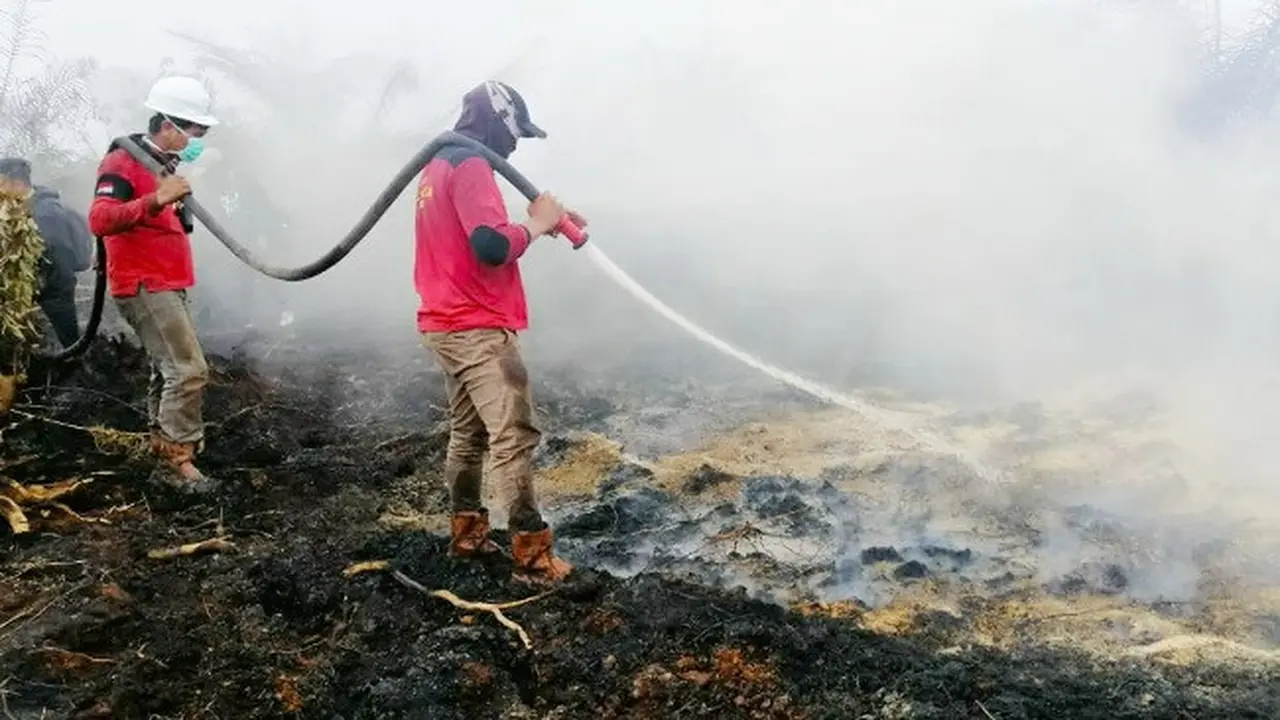 Petugas Manggala Agni memadamkan kebakaran lahan di Siak supaya tak meluas dan menyebabkan bencana kabut asap.