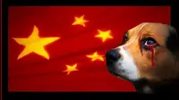 Festival Makan Daging Anjing di Yulin, Tiongkok yang akan digelar pada 21 Juni 2015 mendapat kecaman keras dari para netizen.