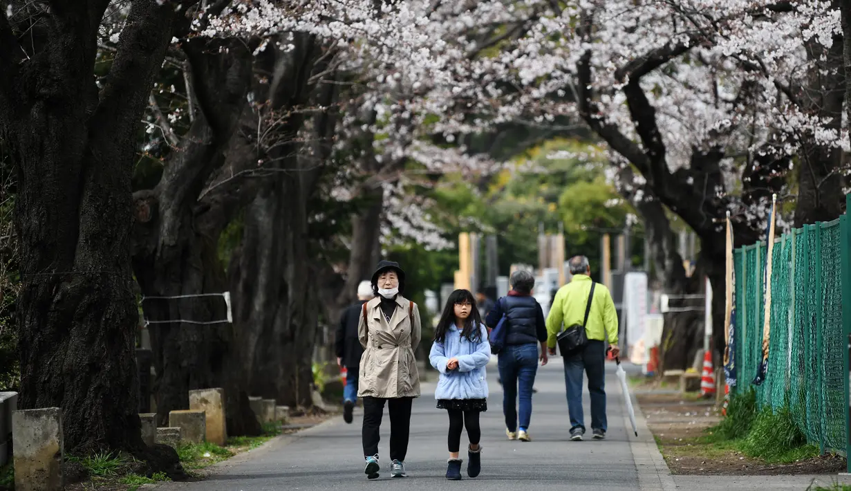 Sejumlah warga berjalan di bawah pohon sakura yang sedang mekar bunganya di distrik Taito, Tokyo, Jepang (26/3). Pohon sakura berbunga setiap satu tahun sekali, kuncup bunga sakura mulai terlihat di akhir musim dingin pada bulan Maret. (AFP Photo/Charly Triballeua)