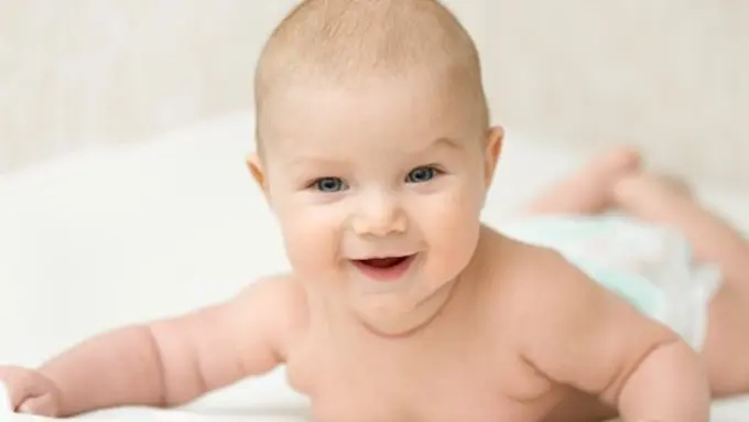 Fakta Unik/ Copyright : freepik.com