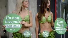 Aktivis Ethical Treatment of Animals alias PETA berkampanye gaya hidup vegan di pusat kota Bucharest, Rumania, (14/8). Dua aktivis wanita PETA membagikan makanan vegan kepada orang-orang yang lewat di ibukota Rumania. (AP Photo/Andreea Alexandru)
