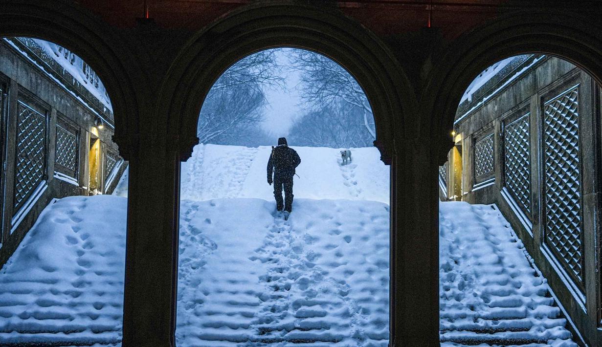Peringatan badai salju telah dikeluarkan untuk sebagian besar wilayah Pantai Timur, termasuk Kota New York. Tampak dalam foto, seseorang berjalan-jalan dengan anjingnya di Bethesda Terrace di Central Park, Kota New York pada Senin 23 Februari 2026. (Ryan Murphy/Getty Images North America/Getty Images via AFP)