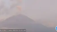 Gunung Semeru Erupsi  7 Kali, Tinggi Letusan Capai 1.000 Meter