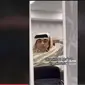 Persiapan Ghanim Muftah, Disabilitas Pembaca Al-Quran di Pembukaan Piala Dunia 2022 Qatar. (TikTok&nbsp;@g_almuftah1)