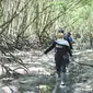 Khofifah Indar Parawansa menanam  mangrove di Kawasan Ekosistem Esensial (KEE) Teluk Pangpang Banyuwangi. (Dian Kurniawan/Liputan6.com)