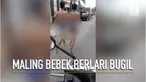 Kedua maling diarak warga tanpa busana lantaran mencuri bebek.