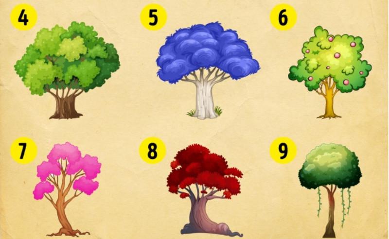 Pilih Satu Dari 8 Pohon Ini Pilihanmu Ungkap Pencapaian 2018