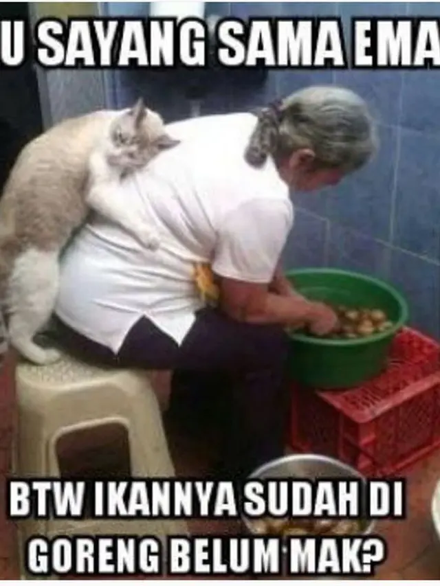 6 Kelakuan Emak-Emak Pelihara Kucing Bak Anak Sendiri Ini Kocak