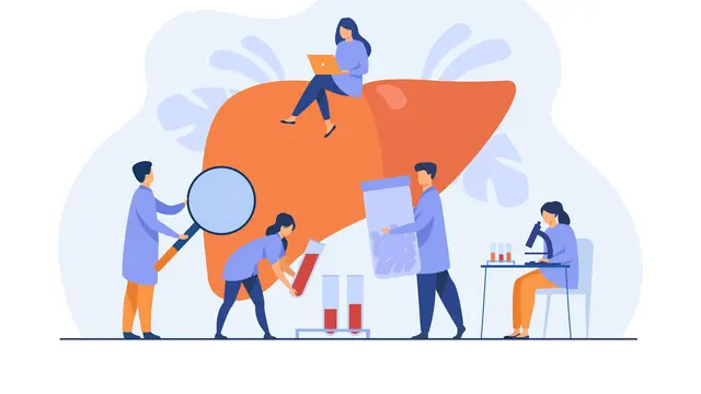 Ilustrasi organ hati