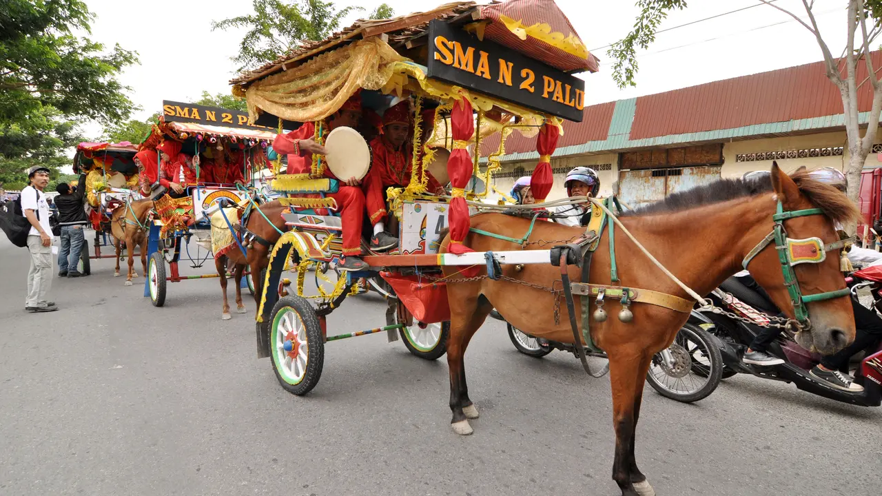 Festival Teluk Palu, Ruang Ekspresi Aneka Kultur Masyarakat Palu