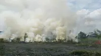 Kebakaran hutan dan lahan di Riau. (Liputan6.com/M Syukur)