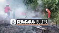 kebakaran savana thumbnail