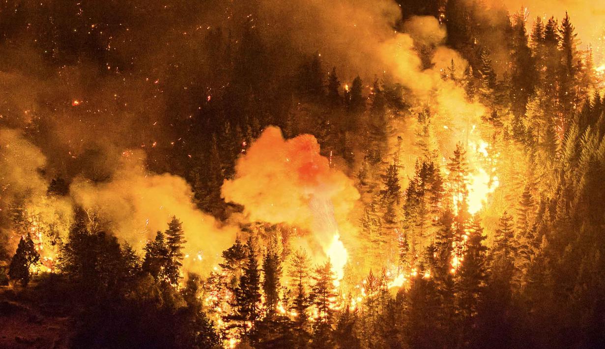 Upaya pemadaman menghadapi tantangan berat mengingat luasnya area yang terbakar. Tampak dalam foto, kobaran api menghanguskan kawasan hutan di Gunung Pirque, El Hoyo, wilayah Patagonia provinsi Chubut, Argentina pada 7 Januari 2026. (Martin LEVICOY/AFP)