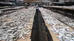 Sejumlah nelayan menjemur ikan di Muara Angke, Jakarta, Selasa (17/1). Kamar Dagang dan Industri (Kadin) Indonesia menginginkan perbankan bisa memperbesar fasilitas pembiayaan untuk investasi sektor kelautan di Indonesia. (Liputan6.com/Angga Yuniar)