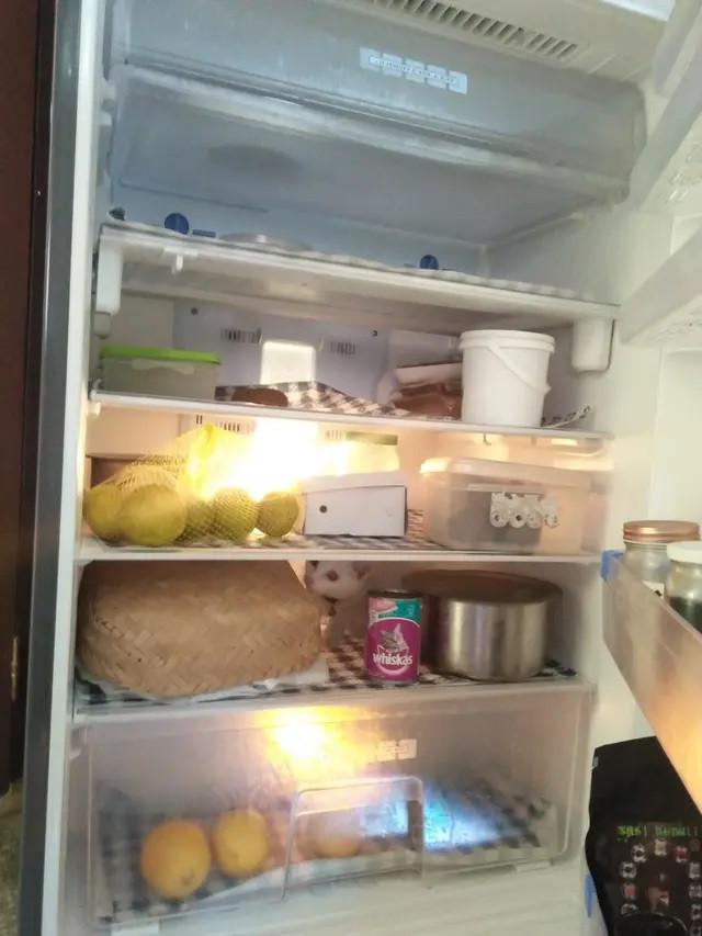 Kucing di Dalam Kulkas