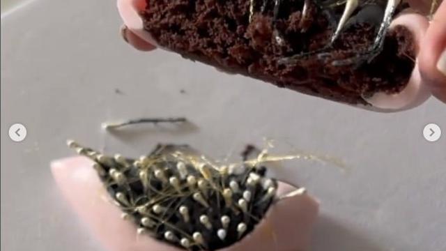 Wanita Ini Kreasikan Kue Mirip Benda di Sekitar, 8 Hasilnya Mengagumkan