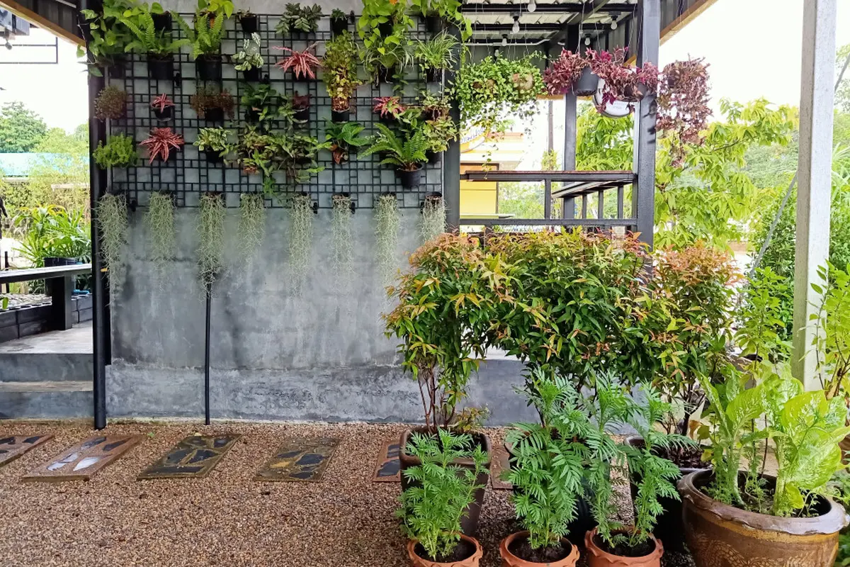Taman
