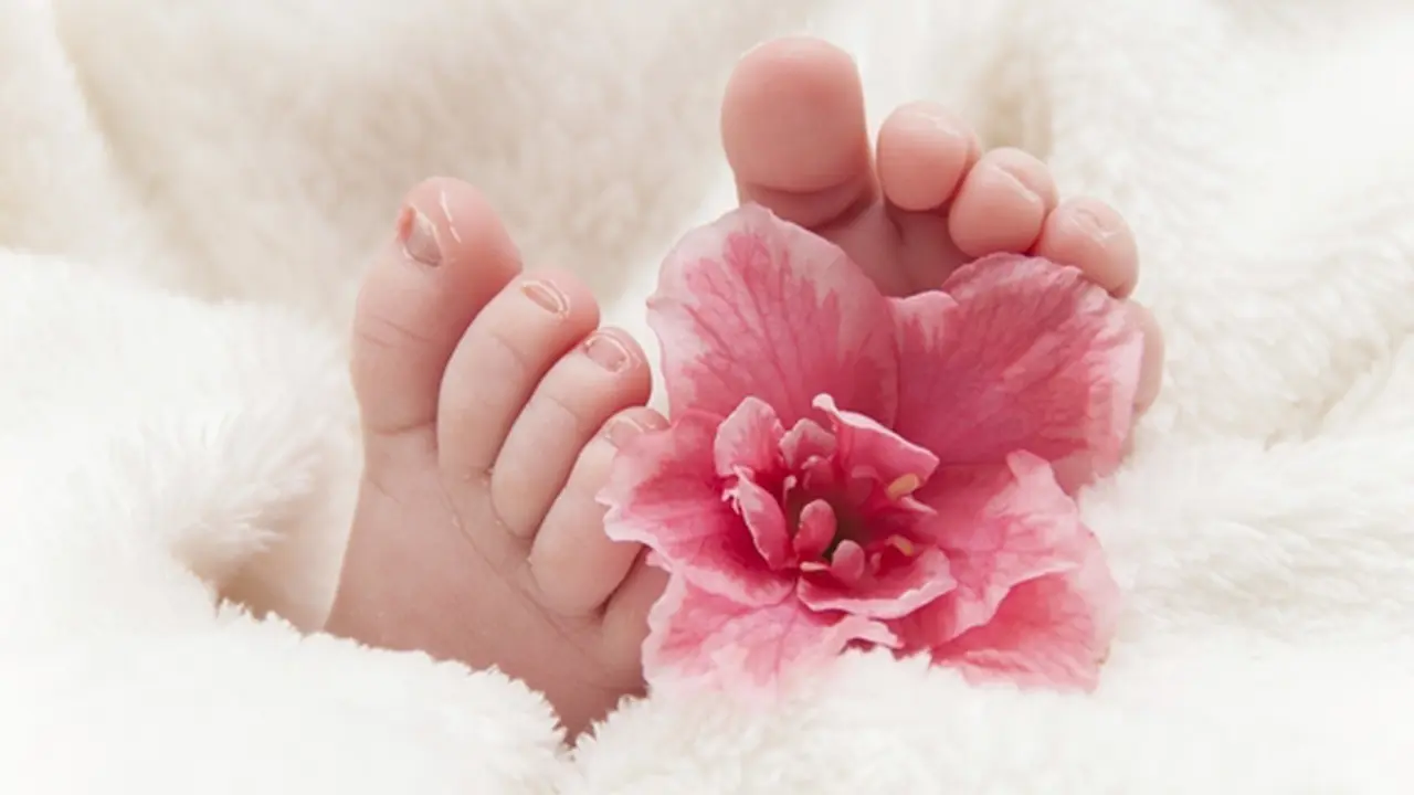 Foto: copyright thinkstockphotos.com