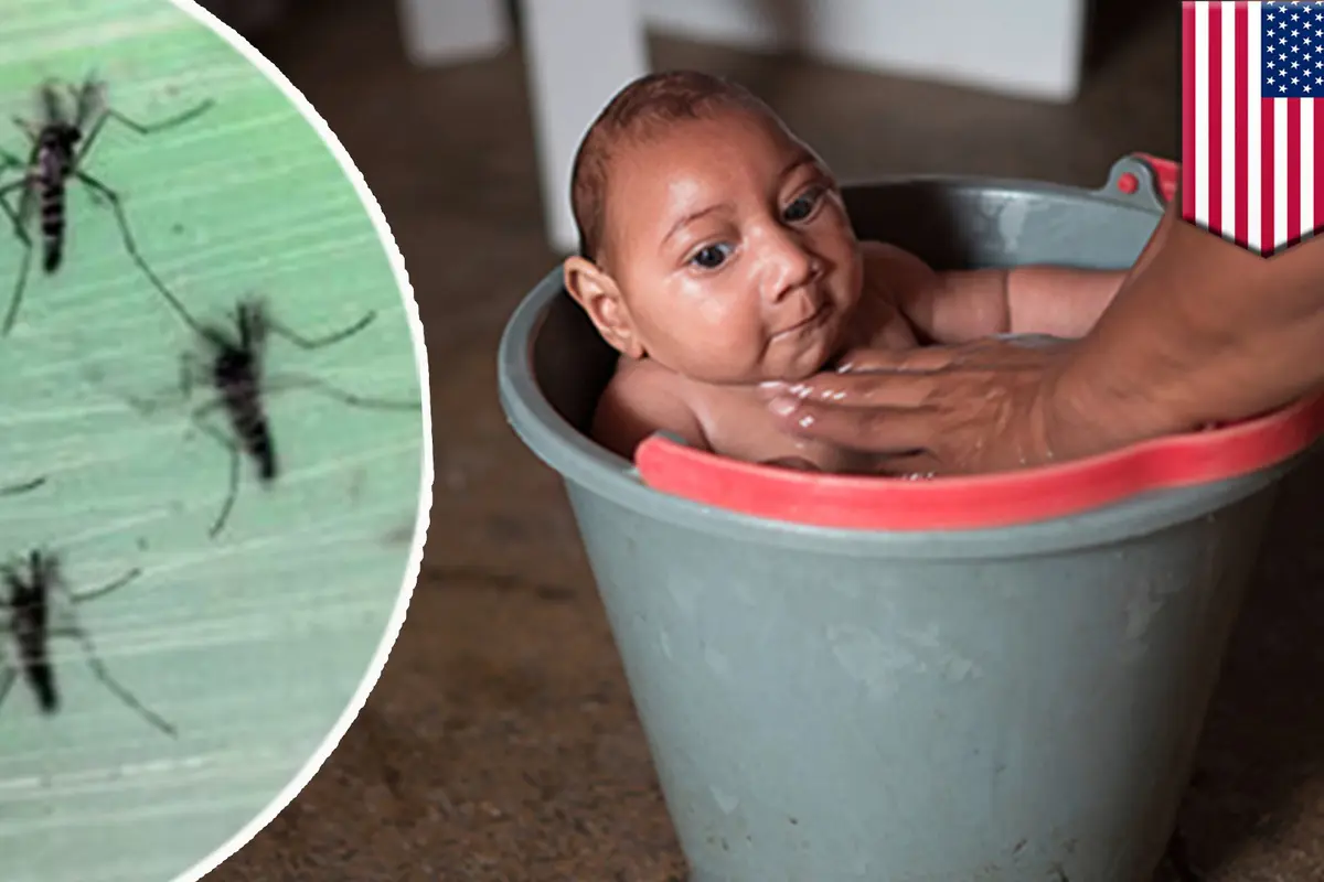 10 Fakta Mencengangkan tentang Virus Zika