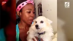 Selfie dengan anjing peliharaan sepertinya sedang menjadi tren di sosial media. Seorang gadis lantas tak mau kalah mengikuti tren ini. Namun, saat si gadis mencoba selfie, ia malah mengalami hal buruk