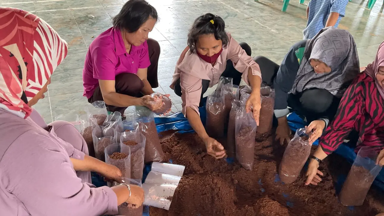 Perangi Stunting, Pemkab Kutai Timur Ajak Warga di 4 Desa Budidaya Jamur Tiram