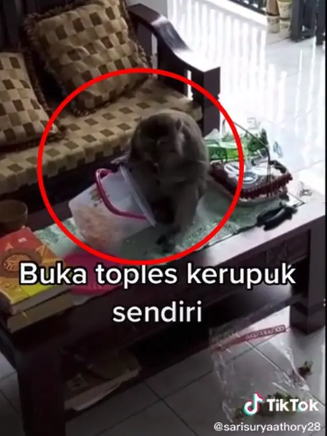 Viral Video Susahnya Punya Rumah Semi Outdoor, Sering Dapat Tamu yang Bikin Rusuh