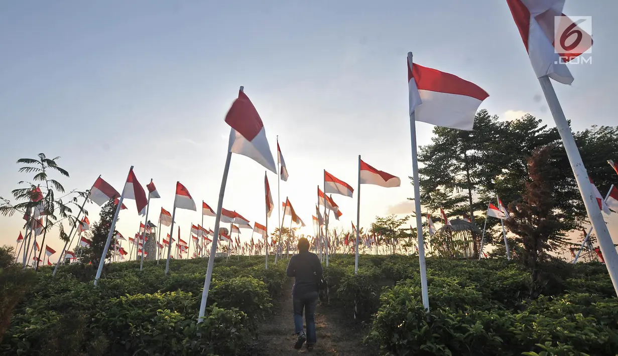 Pemandangan ribuan bendera Merah Putih berkibar di perkebunan teh Kemuning, Desa Girimulyo, Karanganyar, Jawa Tengah, Sabtu (25/8). 1.970 bendera Merah Putih dikibarkan masyarakat setempat menyemarakkan HUT ke-73 RI. (Merdeka.com/Iqbal S. Nugroho)