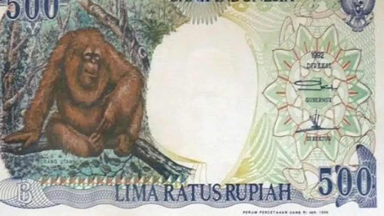 Uang Kertas Pecahan Rp 500 Gambar Orang Utan Sedang Diburu Kolektor