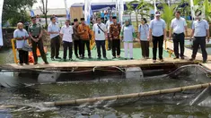 Suasana penebaran benih ikan dan panen ikan bandeng yang digelar Perum Jasa Tirta II di demplot Curug, Jatiluhur, Kamis (6/12). Penebaran benih ikan tersebut merupakan uji coba program perikanan tangkap berbasis budidaya. (Liputan6.com/Pool/HumasPJT2)