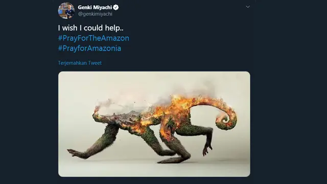 Pray For Amazon, Doa Warganet untuk Kebakaran Amazon
