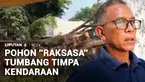 Tidak ada angin maupun hujan, sebatang pohon besar di kawasan Pasar Terminal, Kota Metro, Lampung, tiba-tiba tumbang. Pohon setinggi 15 meter tersebut menimpa satu unit mobil bak terbuka dan dua sepeda motor hingga ringsek.