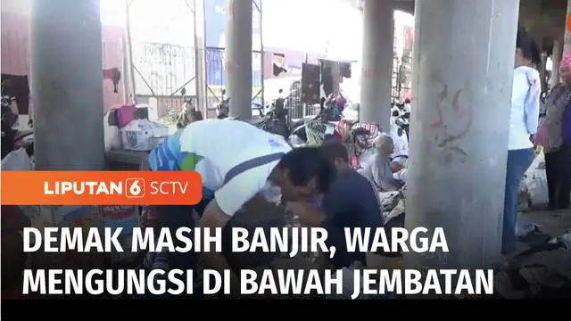 Sudah 8 hari banjir yang melanda Kabupaten Demak, Jawa Tengah, belum juga surut. Sejumlah warga juga masih mengungsi di bawah jembatan.