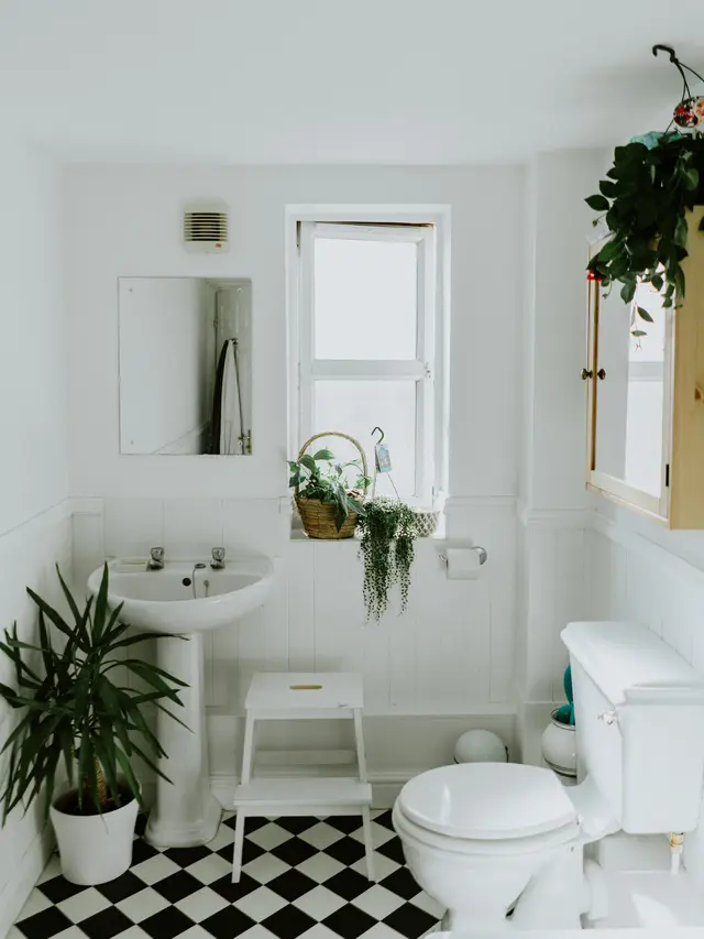 10 Tanaman Hias yang Cocok untuk Kamar Mandi, Bisa Menyerap Lembap