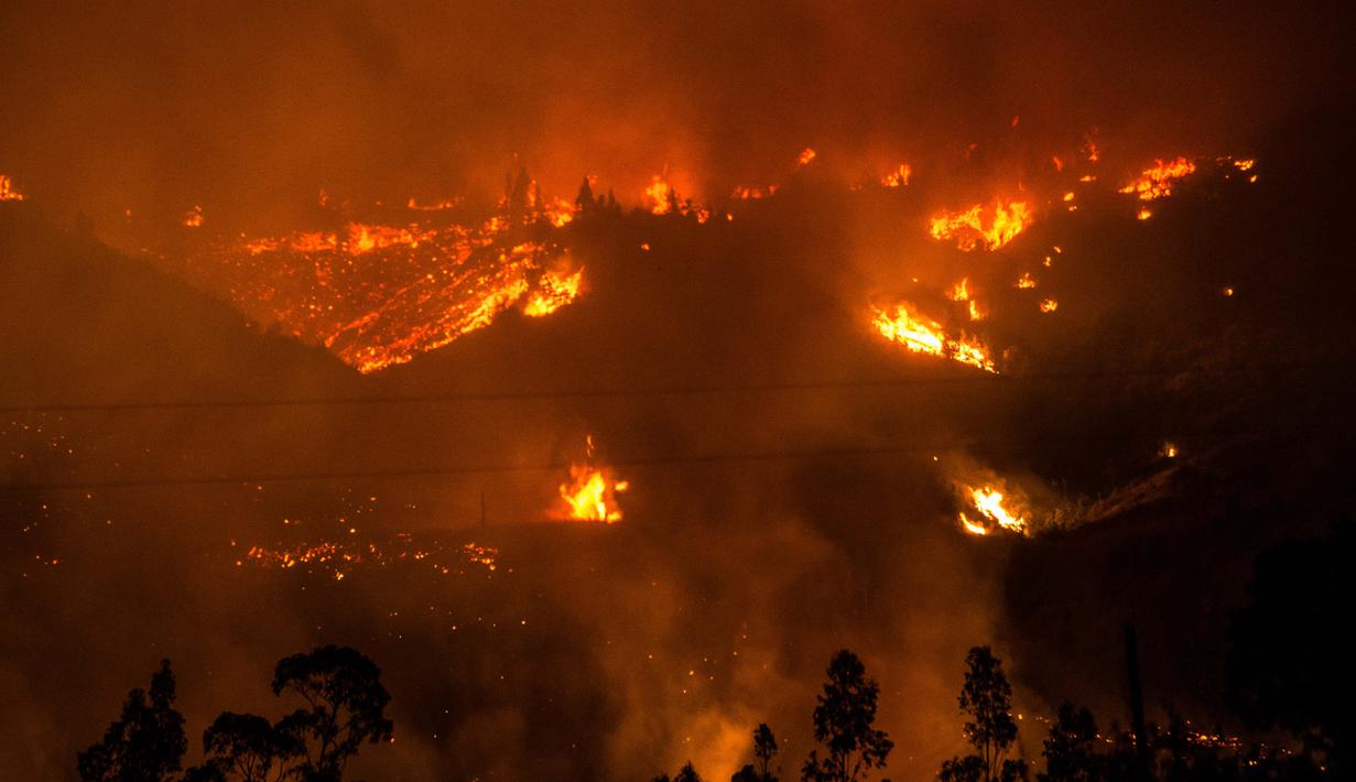 Kobaran api melahap hutan di wilayah Santiago, Chile (20/1). Kebakaran hutan yang terjadi dalam sepekan terakhir telah menghanguskan lahan seluas 155 kilometer persegi. (AFP Photo/Martin Bernetti)
