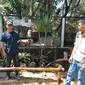 Salah satu pengunjung Taman Satwa Cikembulan Garut, Jawa Barat, tengah membawa seekor elang yang dipandu seorang petugas taman saat mencoba wahana baru ‘Animal Edutainment’. (Liputan6.com/Jayadi Supriadin)