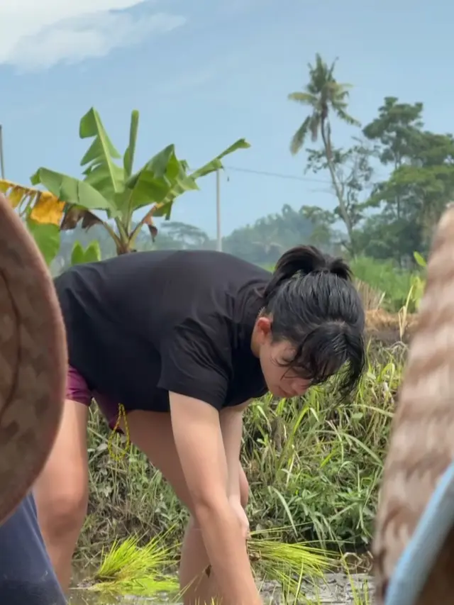 Niat Lari Pagi, Intip 5 Potret Sintya Marisca Berakhir Nyemplung ke Sawah Bantu Petani Menanam Padi (credit: instagram.com/sintyamarisca).