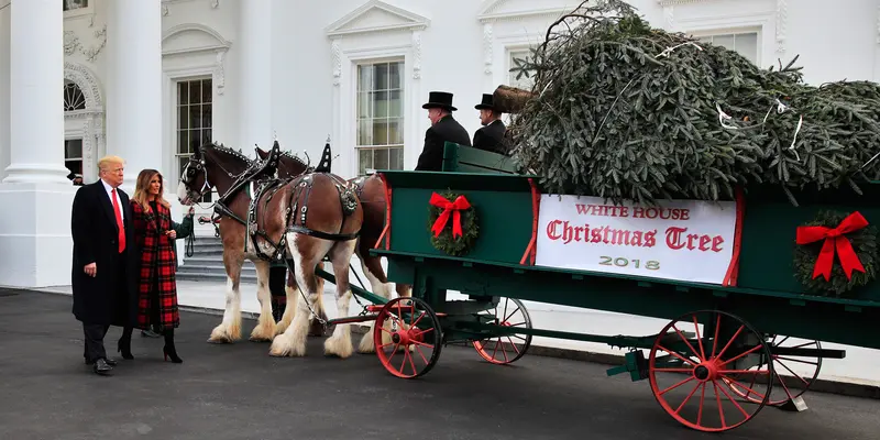 Pohon Natal untuk Gedung Putih