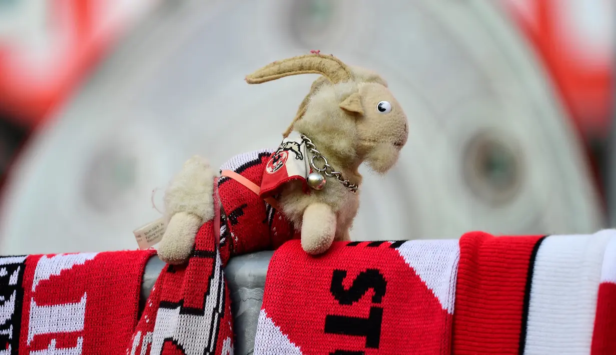 Seekor boneka kambing billy terlihat sebelum pertandingan antara FC Cologne vs RB Leipzig pada lanjutan Bundesliga divisi satu Jerman di Cologne (1/6/2020). Pertandingan yang digelar tanpa penontona akibat pandemi Covid-19 ben ini dimenangkan RB Leipzig dengan skor 4-2. (AFP/Ina Fassbender)