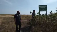 Maju Mundur Pemkab Blora Kembangkan Wisata Geologi Kesongo