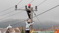 Citizen6, Malang: Unit Pelayanan Jaringan ( UPJ) Tumpang melakukan pemeliharan Jaringan 20 KV, dalam peningkatan kemampuan pasokan dan pelayanan listrik di desa Ranupani kec. Senduro, Kab. Lumajang Jawa Timur, Sabtu (7/4). (Pengirim: Badarudin Bakri)
