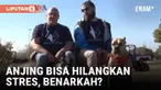 Berdasarkan data pemerintah federal, sedikitnya 5% warga dewasa AS mengalami gangguan stres pascatrauma atau PTSD, dan angkanya jauh lebih tinggi untuk veteran Perang Irak dan Afghanistan. Beragam program dikembangkan organisasi advokasi veteran, di ...