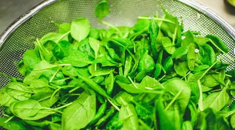 8 Sayuran Penghasil Protein Terbaik Merdeka Com