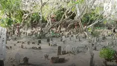 Warga Sidoarjo dihebohkan dengan hilangnya sebuah tali pocong dari dalam makam. Kehebohan berlanjut karena pelaku belum ditemukan.