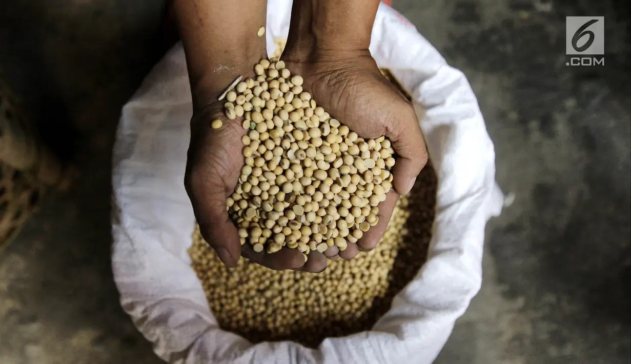 Pekerja menunjukkan kedelai untuk membuat tempe, Kemayoran, Jakarta, Kamis (6/9). Harga kedelai untuk produksi tempe meningkat dari Rp 6.500 menjadi Rp 7.700 pascanilai tukar dolar mengalami kenaikan terhadap rupiah. (Liputan6.com/Herman Zakharia)