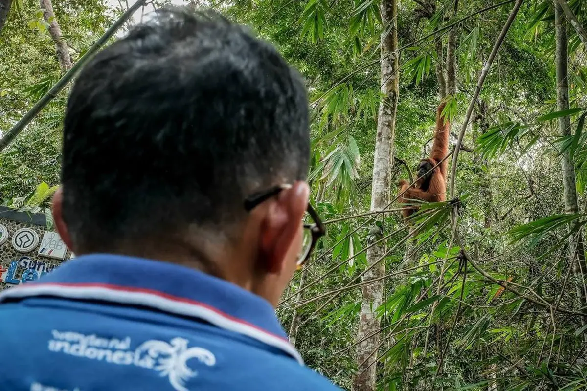 Kunjungan Sandiaga Uno ke Bukit Lawang, Kabupaten Langkat, Sumatra Utara.
