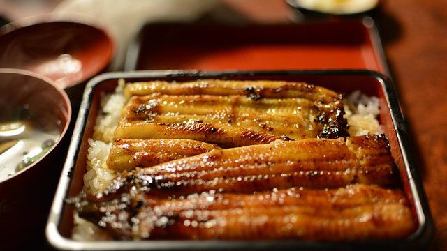 Ilustrasi olahan belut