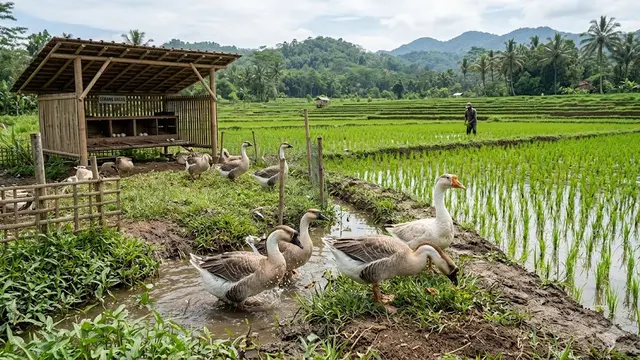 Ide Ternak Hewan Mini Umbaran di Dekat Sawah yang Hemat Pakan dan Untung Besar