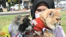 Warga membawa kucing peliharaannya pada acara fashion  show kucing rumahan di Lapangan Kolaborasi Komplek Ikip, Duren Sawit, Jakarta, Minggu (14/8/2022). Acara fashion show yang merupakan rangkaian dari kegiatan HUT Kemerdekaan Republik Indonesia ke 77 dan sebagai wadah berkumpulnya komunitas pecinta kucing di Jakarta Timur. (Liputan6.com/Herman Zakharia)