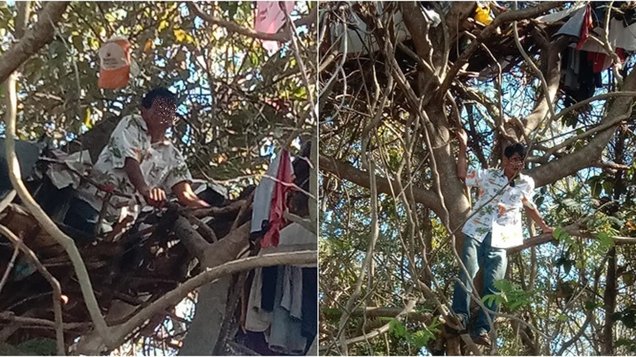 Merasa Hidupnya Terlalu Berat, Pria Ini Memilih Tinggal di Pohon Sejak 3 Tahun Lalu